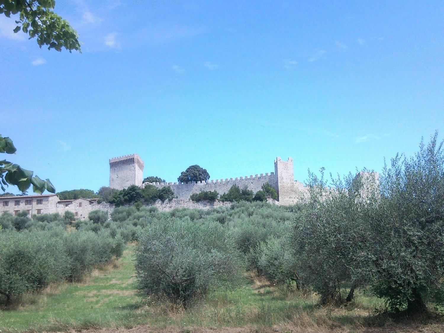 Hotel Trasimeno Bittarelli Кастільйоне-дель-Лаго Екстер'єр фото